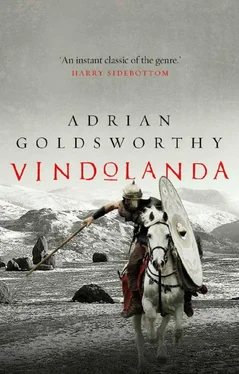 Adrian Goldsworthy Vindolanda обложка книги