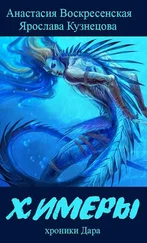 Ярослава Кузнецова - Химеры [СИ]