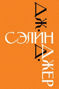 Джером Сэлинджер Дж. Д. Сэлинджер [litres] обложка книги