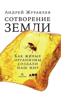 Андрей Журавлёв Сотворение Земли. Как живые организмы создали наш мир обложка книги