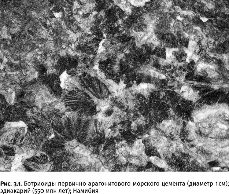 Опираясь на расчеты и особенности озер ДонЖуан Магади и Натрон можно - фото 11