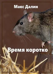 Максим Далин - Время коротко