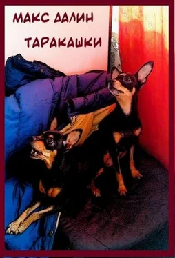 Максим Далин Таракашки обложка книги