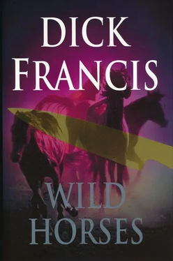 Dick Francis Wild Horses обложка книги