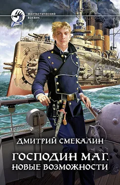 Дмитрий Смекалин Новые возможности [litres] обложка книги