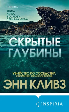 Энн Кливз Скрытые глубины [litres] обложка книги