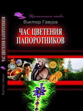 Виктор Гавура Час цветения папоротников обложка книги