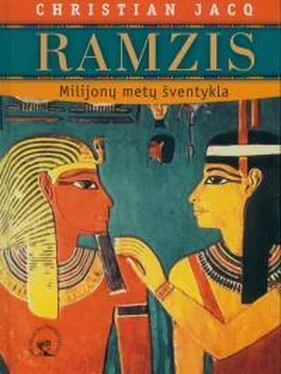 Кристиан Жак Ramzis. Milijonų metų šventykla обложка книги