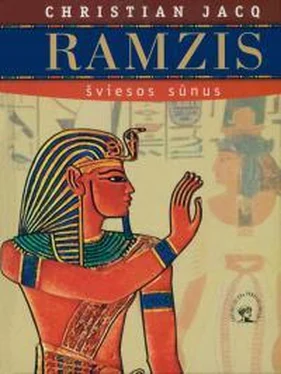 Кристиан Жак Ramzis. Šviesos sūnus обложка книги