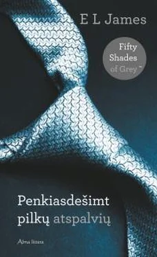 Эрика Джеймс Penkiasdešimt pilkų atspalvių обложка книги