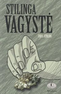 Emyl Jenkins Stilinga vagystė обложка книги