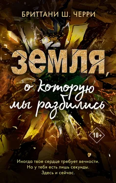 Бриттани Черри Земля, о которую мы разбились [litres] обложка книги