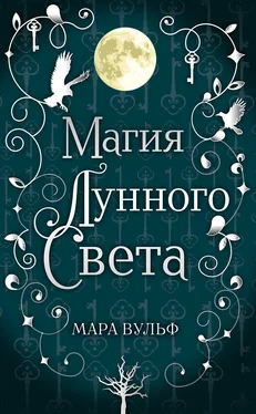 Мара Вульф Магия лунного света [litres] обложка книги