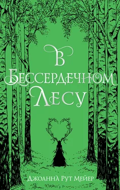 Джоанна Мейер В бессердечном лесу [litres] обложка книги