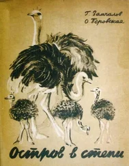 Ольга Перовская - Остров в степи