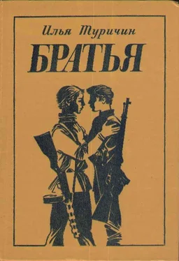 Илья Туричин Братья обложка книги