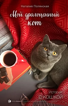 Наталия Полянская Мой драгоценный кот [litres] обложка книги