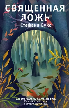 Стефани Оукс Священная ложь [litres] обложка книги