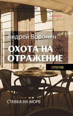 Андрей Воронин Атаман. Охота на отражение обложка книги