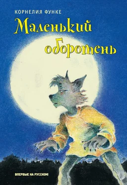 Корнелия Функе Маленький оборотень [litres] обложка книги