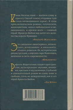 Рафаэль Жерусальми Братство охотников за книгами обложка книги