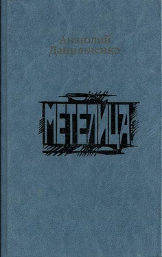 Анатолий Данильченко Метелица обложка книги