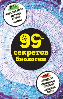 Наталья Сердцева 99 секретов биологии обложка книги