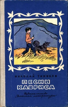 Николай Тиников Песни Кавриса обложка книги