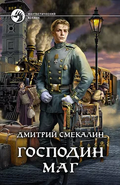 Дмитрий Смекалин Господин маг [litres] обложка книги