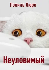 Полина Люро - Неуловимый [СИ]