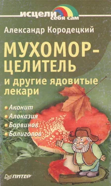 Александр Кородецкий Мухомор-целитель и другие ядовитые лекари обложка книги