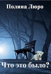 Полина Люро - Что это было? [СИ]