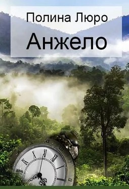 Полина Люро Анжело [СИ] обложка книги