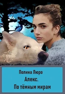 Полина Люро Алекс. По тёмным мирам [СИ] обложка книги