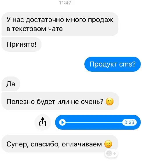 Рис 5 Диалог с потенциальным клиентом В голосовом сообщении я детально - фото 8