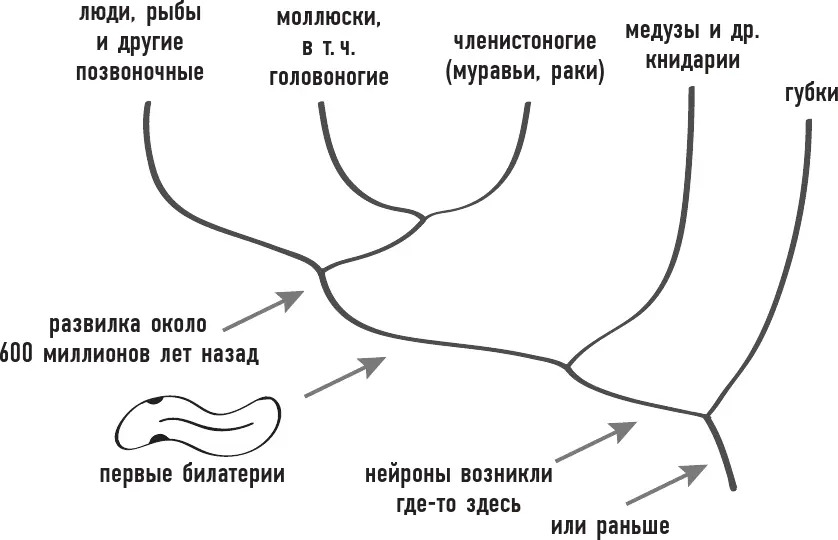 3 Зловредность и хитроумие Зловредность и хитроумие очевидные черты натуры - фото 5