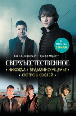 Кейт Декандидо Никогда. Ведьмино ущелье. Остров костей [сборник litres] обложка книги