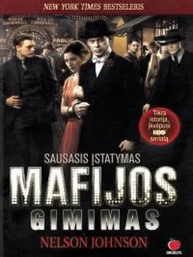 Nelson Johnson Mafijos gimimas. Sausasis įstatymas обложка книги