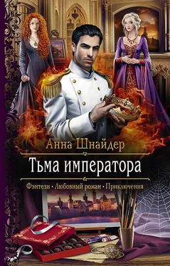 Анна Шнайдер Тьма императора [litres] обложка книги