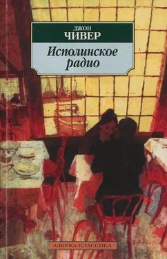 Джон Чивер Исполинское радио обложка книги