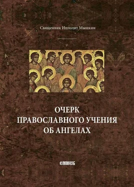 священник Ипполит Мышкин Очерк православного учения об ангелах обложка книги