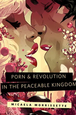 Micaela Morrissette Porn & Revolution in the Peaceable Kingdom обложка книги