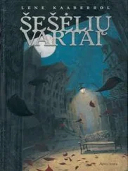 Лине Кобербёль - Šešėlių vartai