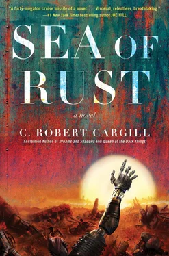 C. Cargill Sea of Rust обложка книги