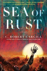C. Cargill - Sea of Rust