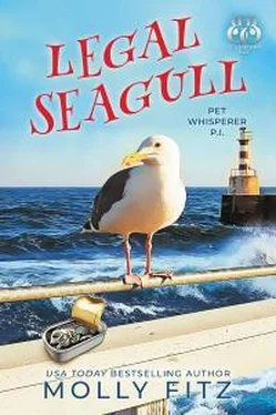 Молли Фитц Legal Seagull обложка книги