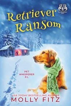 Молли Фитц Retriever Ransom обложка книги