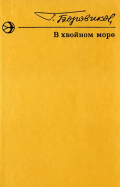 Григорий Боровиков В хвойном море [Рассказы] обложка книги