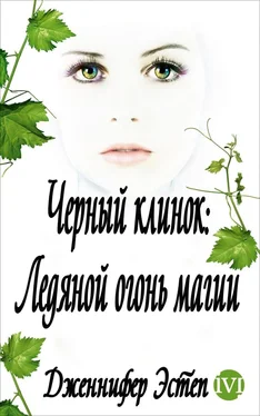 Дженнифер Эстеп Ледяной огонь магии обложка книги