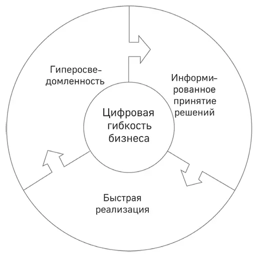 Рисунок 14 Цифровая гибкость бизнеса Источник данные Глобального центра - фото 19
